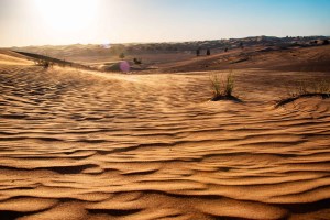 Sand and extreme heat is not good for your hearing aids & cochlear implants