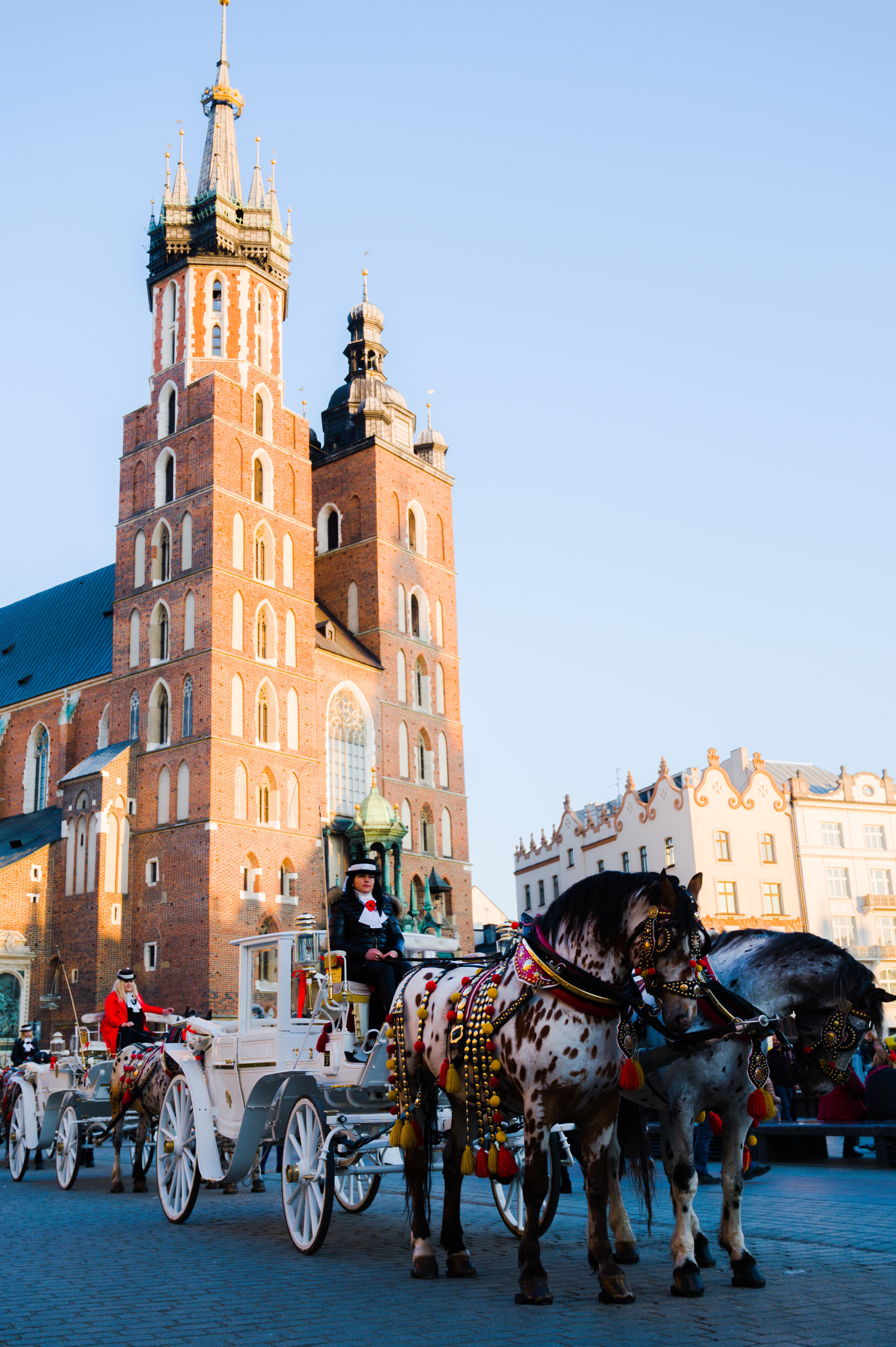 Carriage rides by  St. Mary’s basilica